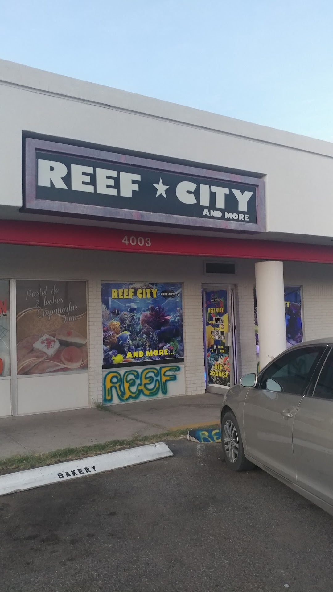 Reef City & More