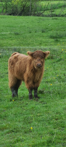 Golf Club «Snoqualmie Falls Golf Course», reviews and photos, 35109 SE Fish Hatchery Rd, Fall City, WA 98024, USA
