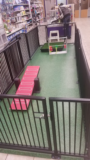 Pet Store «Pet City Pet Shops», reviews and photos, 750 Citadel Dr N # 2092, Colorado Springs, CO 80909, USA