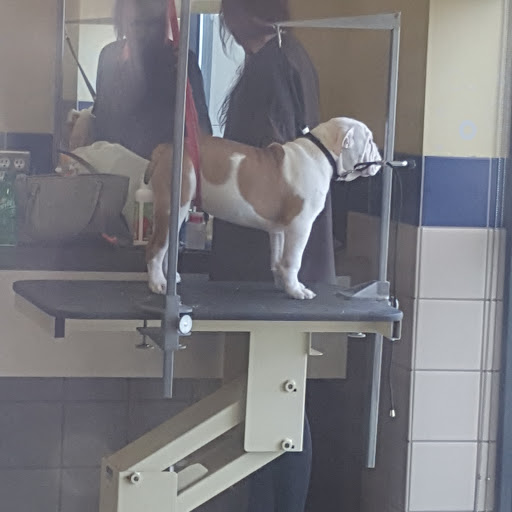 Pet Supply Store «Petco Animal Supplies», reviews and photos, 8551 S Howell Ave, Oak Creek, WI 53154, USA