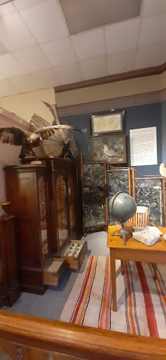 Natural History Museum «Museum of Natural History and Planetarium», reviews and photos, 1000 Elmwood Ave, Providence, RI 02907, USA