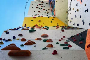 The Wall Climbing Gym image