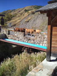 Photo n°34 de La Cabane à Vars ()