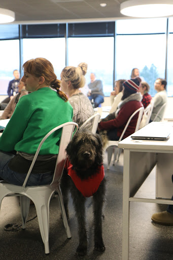 Insurance Company «Trupanion, medical insurance for cats and dogs», reviews and photos