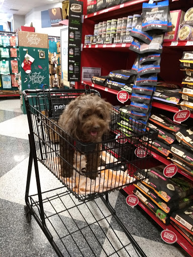 Pet Supply Store «Petco Animal Supplies», reviews and photos, 2000 NE Burnside Rd, Gresham, OR 97030, USA