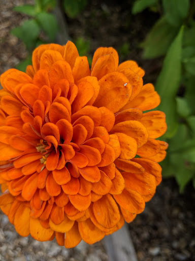 Grocery Store «Good Earth Market & Organic Farm», reviews and photos, 31806 Good Earth Ln, Ocean View, DE 19970, USA