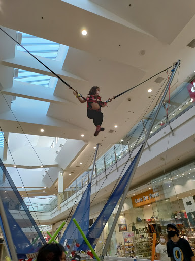 The Shops at Palm Desert image