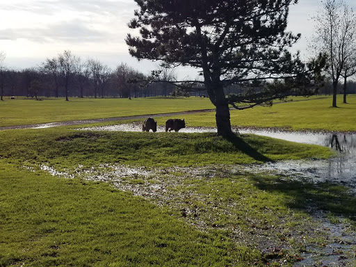 Golf Course «Niagara County Golf Course», reviews and photos, 314 Davison Rd, Lockport, NY 14094, USA