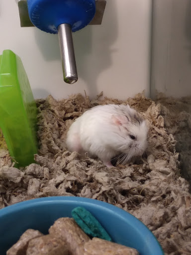 Pet Supply Store «Petco Animal Supplies», reviews and photos, 1963 S Hurstbourne Pkwy, Louisville, KY 40220, USA