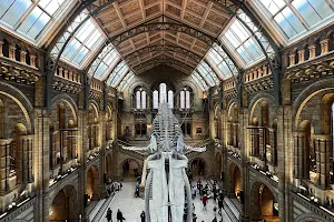 Natural History Museum image