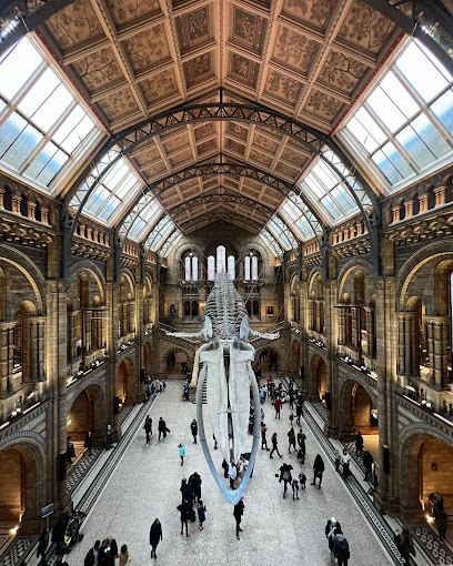 Natural history museum