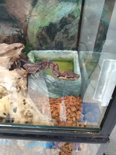 Pet Supply Store «PetKraze», reviews and photos, 100 Independent Way, Brewster, NY 10509, USA