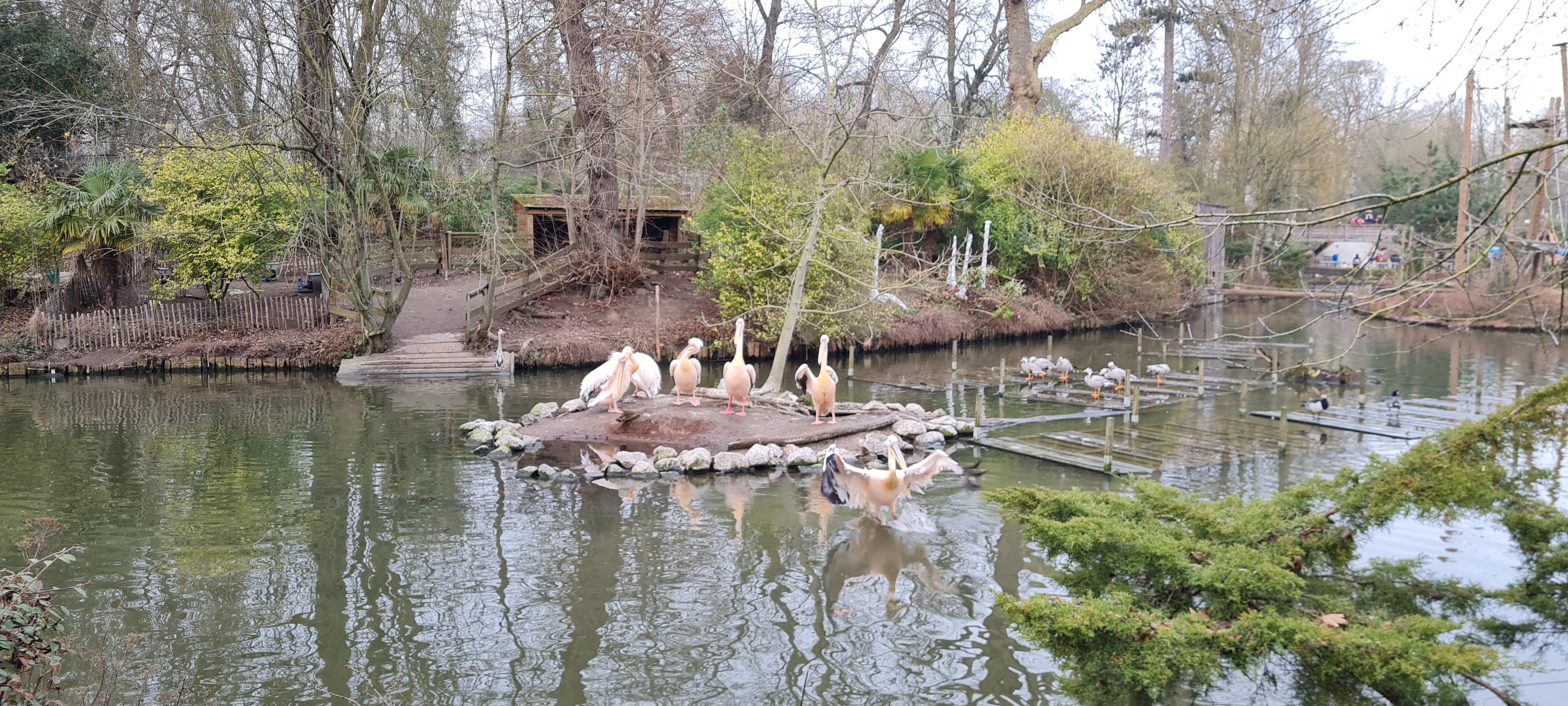 Photo n° 4 de l'avis de Laura.o fait le 16/02/2023 à 09:45