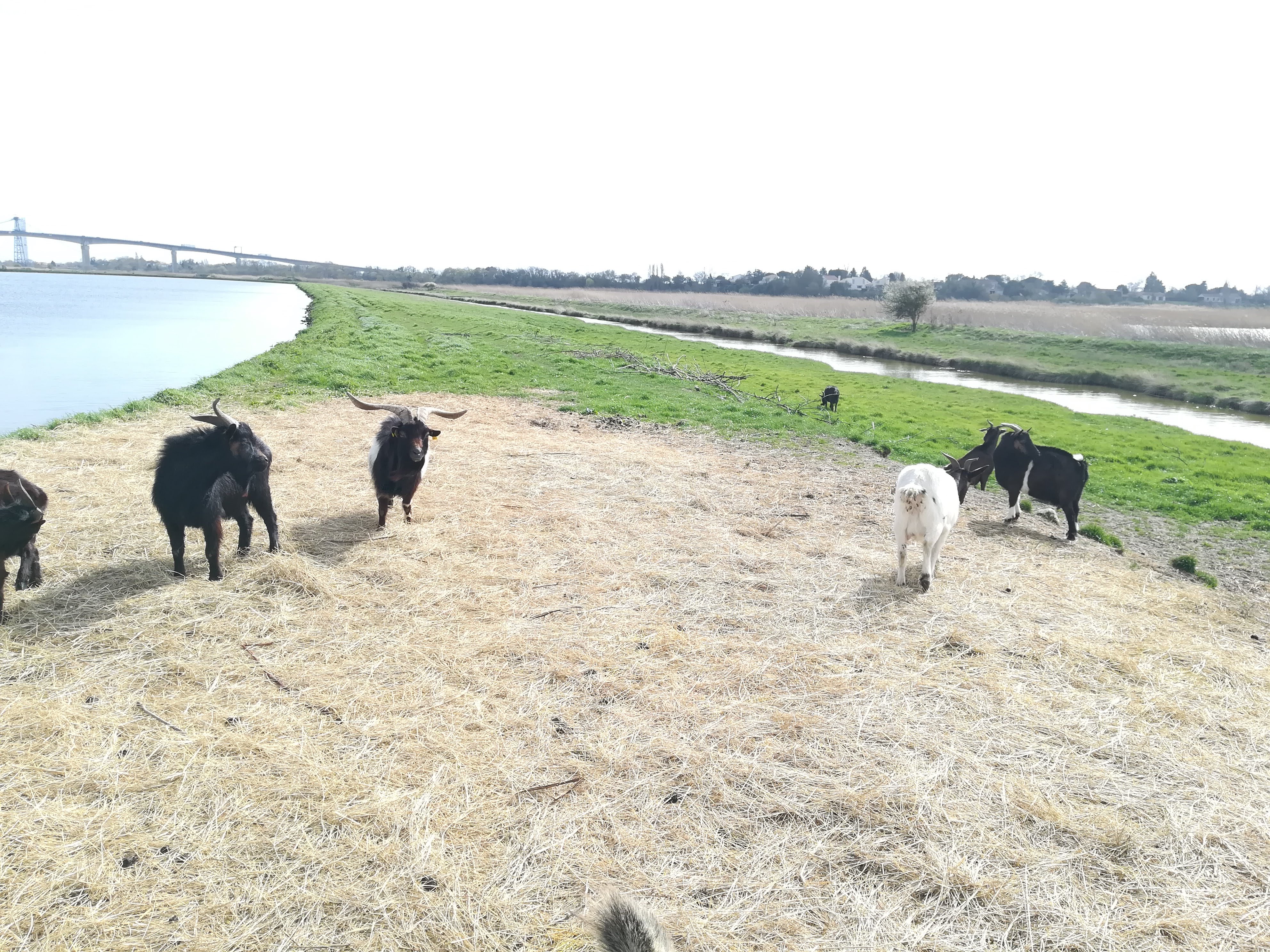 Photo n° 45 de l'avis de Nathalie.e fait le 12/03/2019 à 11:58