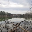 Lake Davidson Nature Preserve