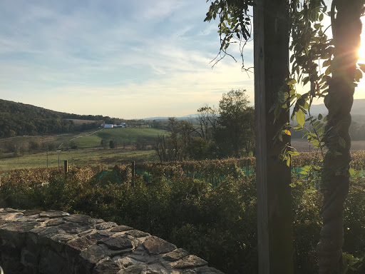 Winery «Hillsborough Vineyards», reviews and photos, 36716 Charles Town Pike, Purcellville, VA 20132, USA