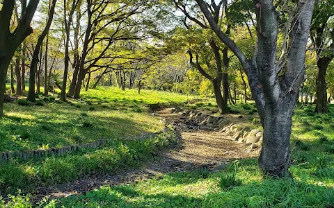 Tamamura Mizube-no-Mori Park image