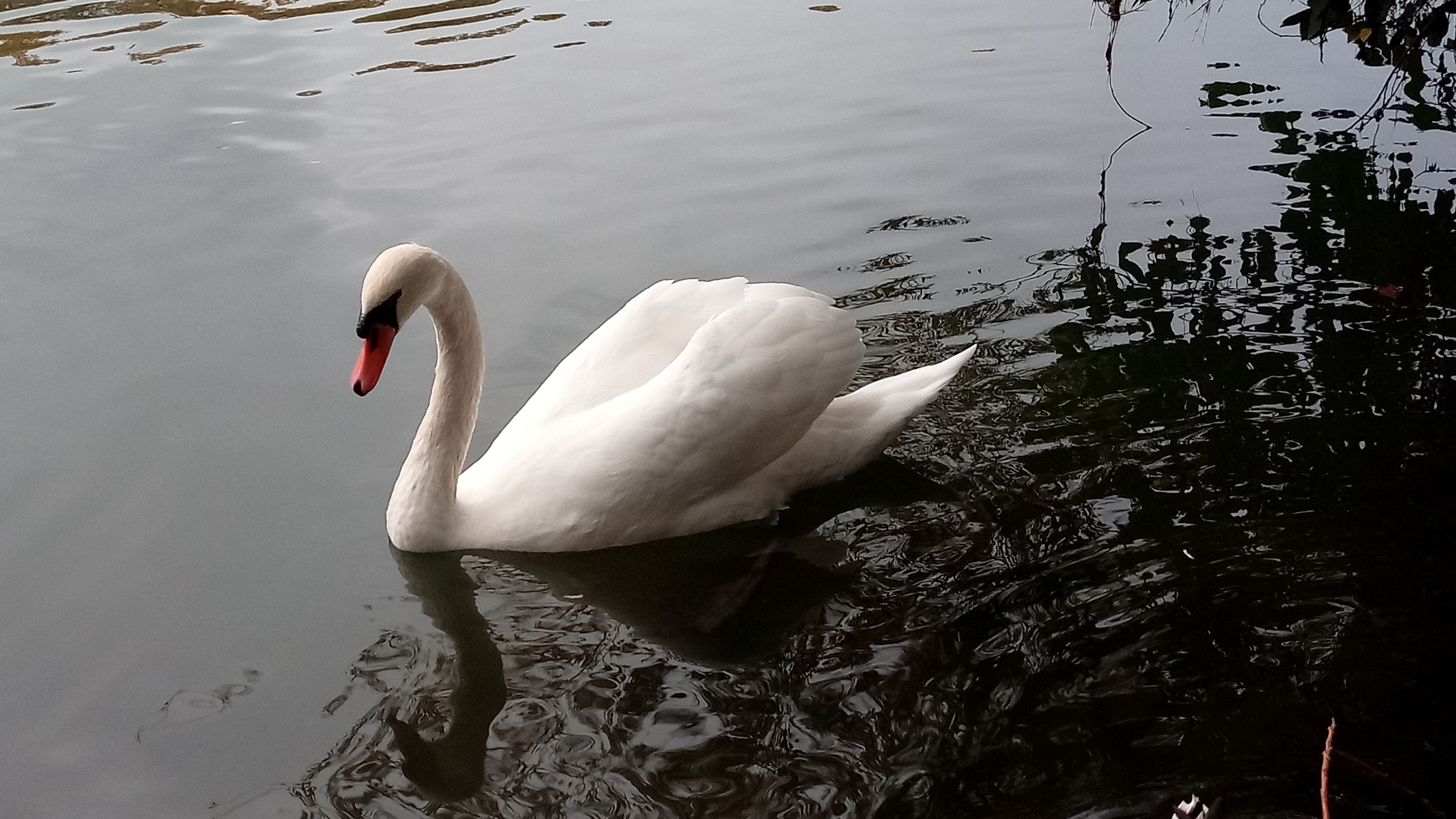 Photo n° 8 de l'avis de Arnaud.N fait le 19/05/2019 à 09:20