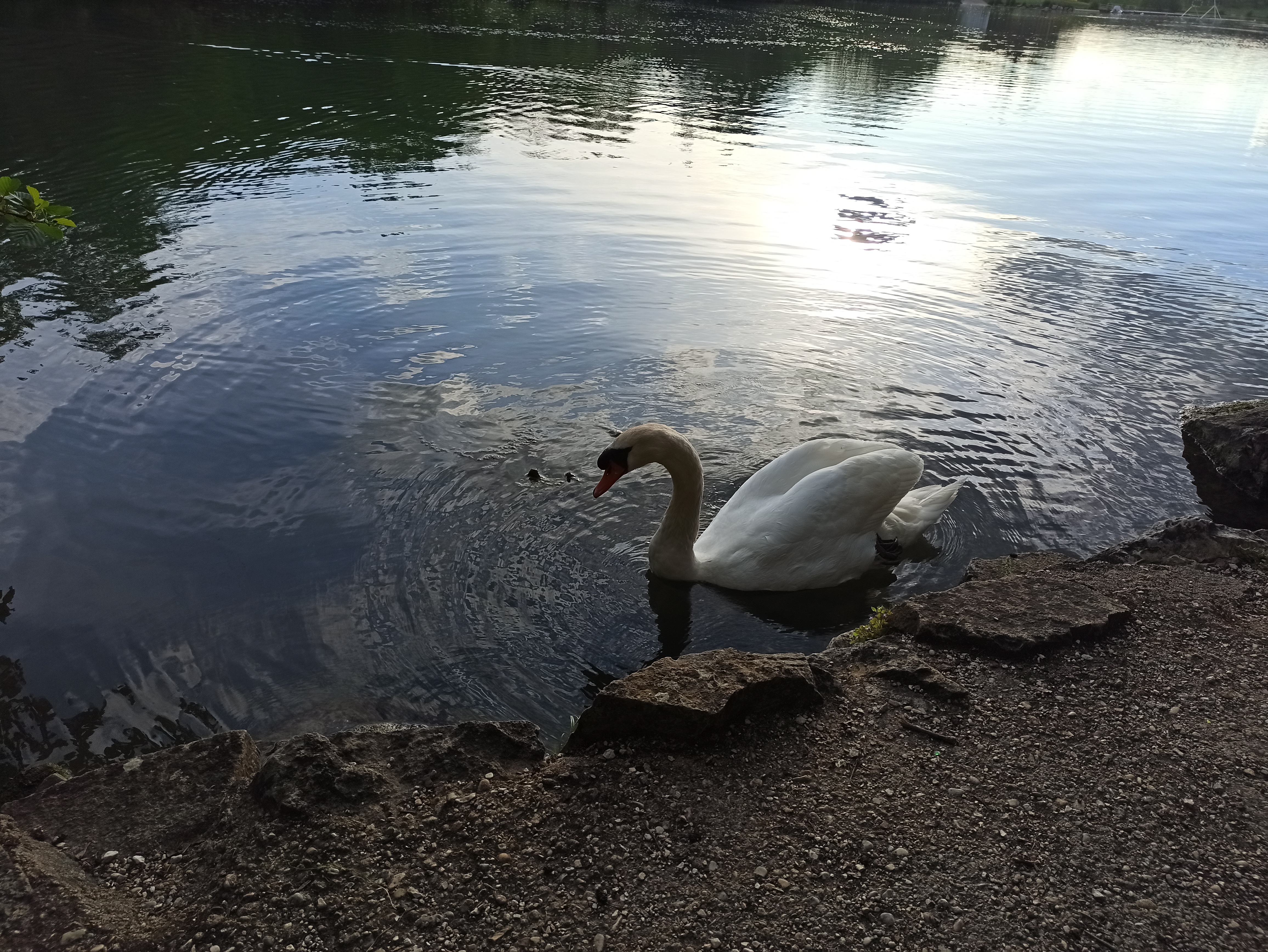 Photo n° 3 de l'avis de saaltmay. fait le 23/05/2021 à 18:16