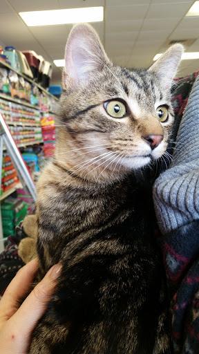 Pet Supply Store «Petsense Crossville», reviews and photos, 68 The Crossings, Crossville, TN 38555, USA