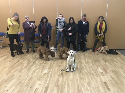 Pawmasters Dog Training