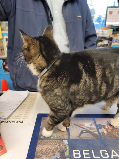 Animal Feed Store «Smeltzer & Sons Feed Supply», reviews and photos, 1139 U.S. 9, Cape May Court House, NJ 08210, USA