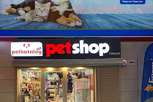 Petkatalog.com Esenyurt Petshop image