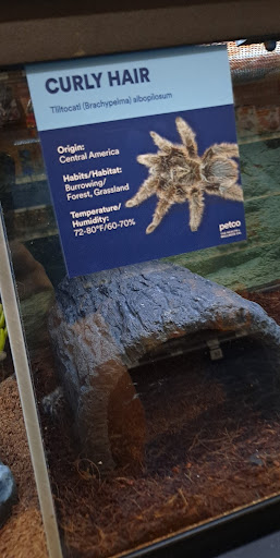 Pet Supply Store «Petco Animal Supplies», reviews and photos, 1753 St Lucie W Blvd, Port St Lucie, FL 34986, USA