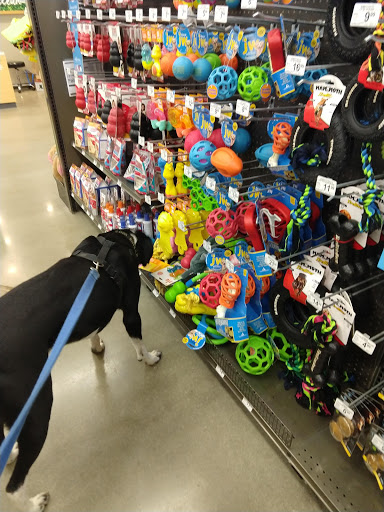 Pet Supply Store «Petco Animal Supplies», reviews and photos, 6720 Fox Centre Pkwy, Gloucester Courthouse, VA 23061, USA