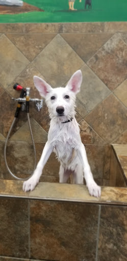 Pet Store «Pet Valu», reviews and photos, 378 Kelly Rd, Vernon, CT 06066, USA