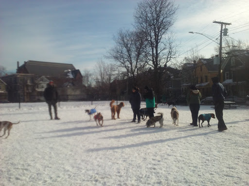 Park «Nunziato Field Dog Park», reviews and photos, Putnam St, Somerville, MA 02143, USA