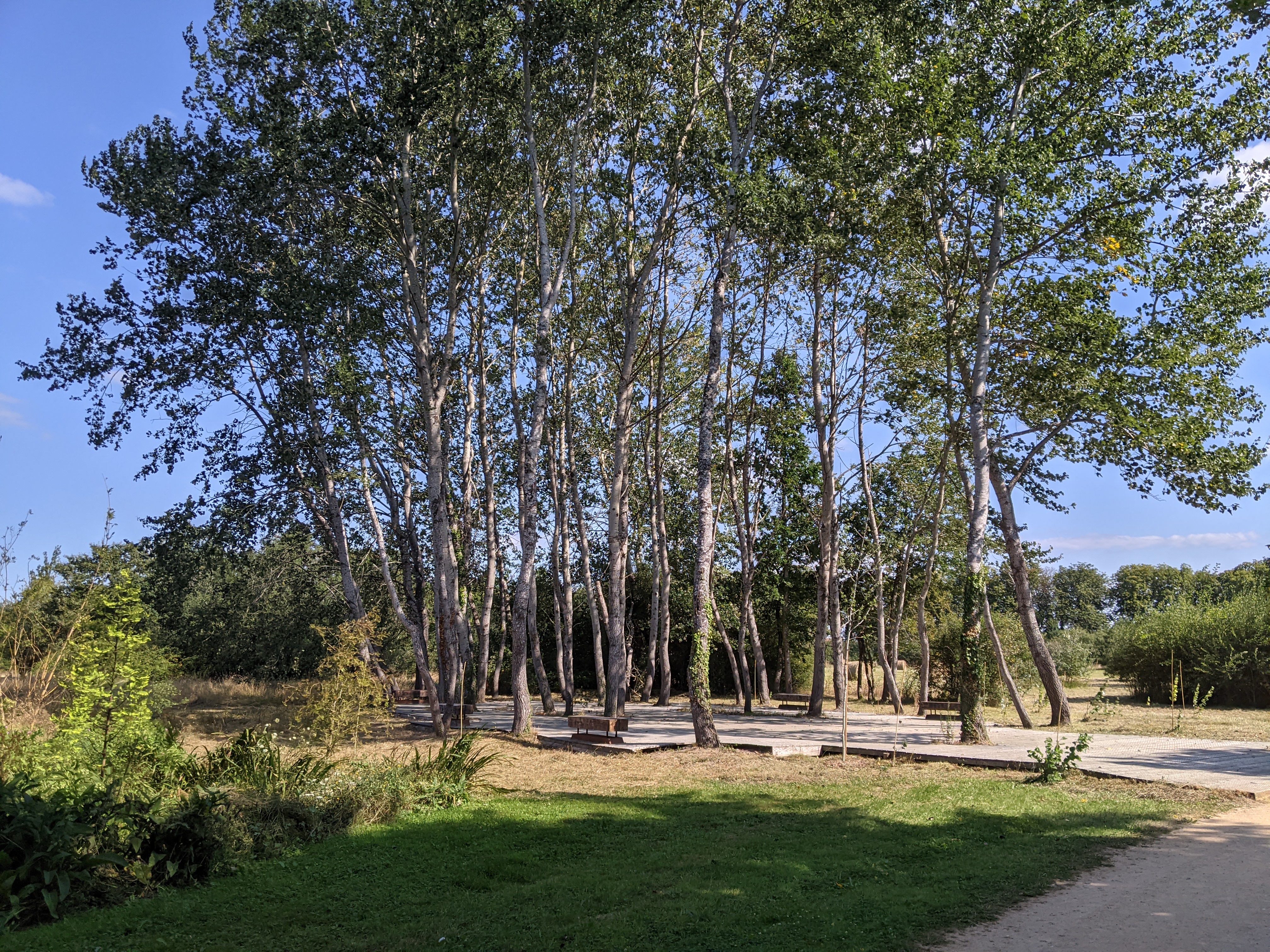 Photo n° 5 de l'avis de Romain.a fait le 21/10/2021 à 20:37