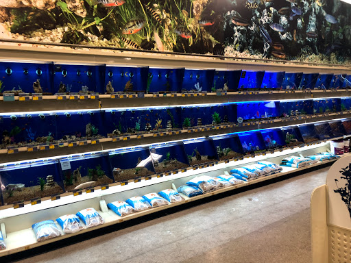 Pet Supply Store «PetSmart», reviews and photos, 12483 Limonite Ave, Mira Loma, CA 91752, USA