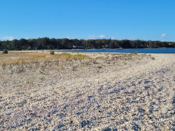 Cedar Beach Park'in fotoğrafı ve yerleşim