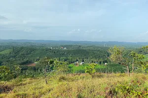 Mangaattupara View Point.Uzhamalakkal image