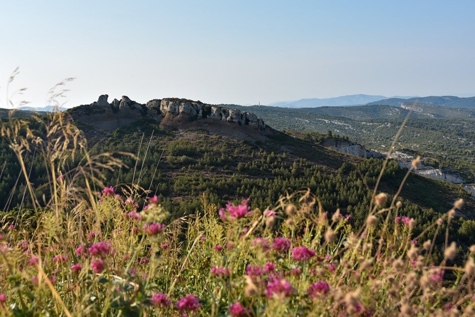 Photo n° 3 de l'avis de Laurent.P fait le 24/07/2019 à 21:29