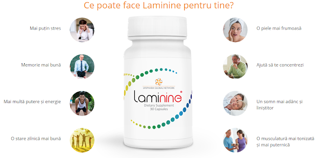 Laminine - Agenție de turism