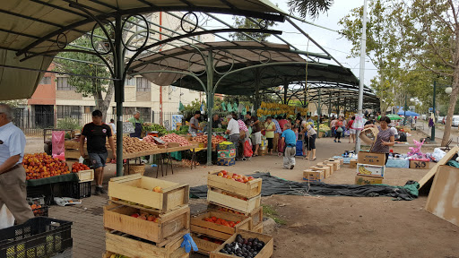 Grecia Farmer's Market
