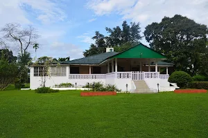 Octavius Tea Resorts - Nya Sylee tea estate - Nagrakata image