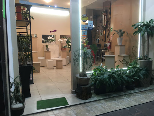 Florería Rosita – Tlalnepantla de Baz