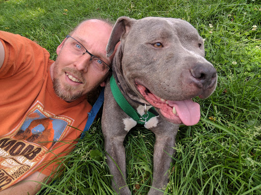 Animal Shelter «KC Pet Project - Main Adoption Center», reviews and photos