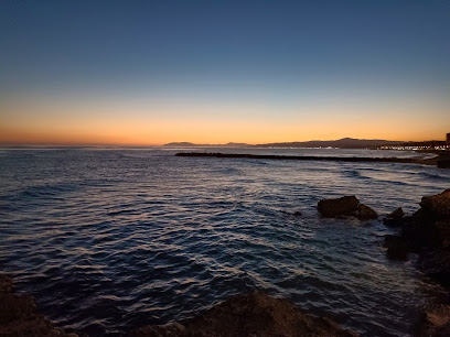 Descubre las mejores playas para perros en Torrox: Rese&ntilde;as imperdibles