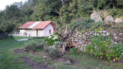 Fil de Saint-Esprit à Villefranque