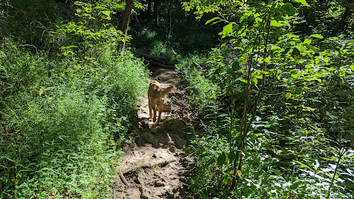 Park «Harrods Creek Park», reviews and photos, 6530 Montero Dr, Prospect, KY 40059, USA