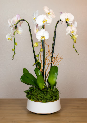 Florist «The Orchid House», reviews and photos, 2265 Coral Way, Miami, FL 33145, USA