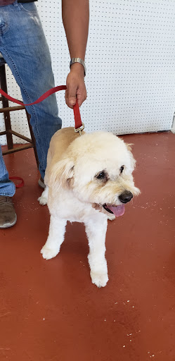 Pet Supply Store «The Dog House», reviews and photos, 4237 S Alameda St, Corpus Christi, TX 78412, USA