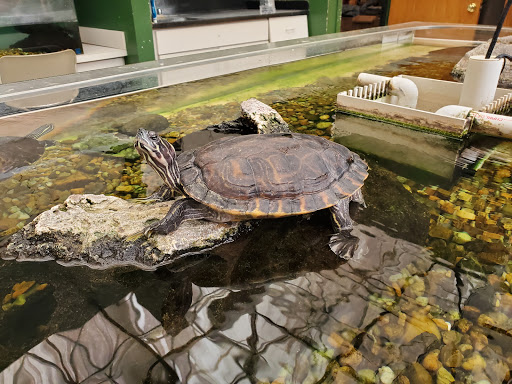 Nature Preserve «Tree Hill Nature Center», reviews and photos, 7152 Lone Star Rd, Jacksonville, FL 32211, USA