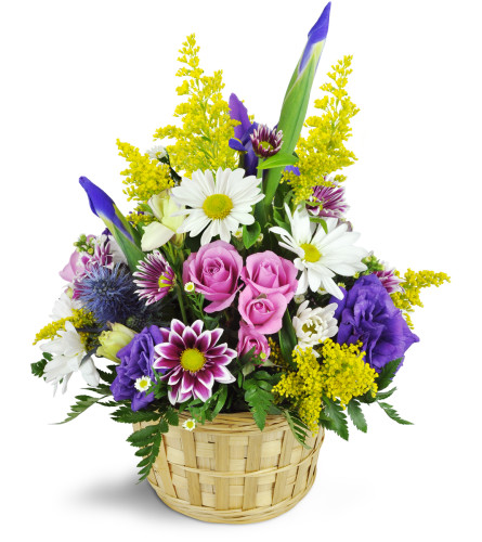 Florist «Black Iris Florist», reviews and photos, 1724 Virginia Beach Blvd #106, Virginia Beach, VA 23454, USA