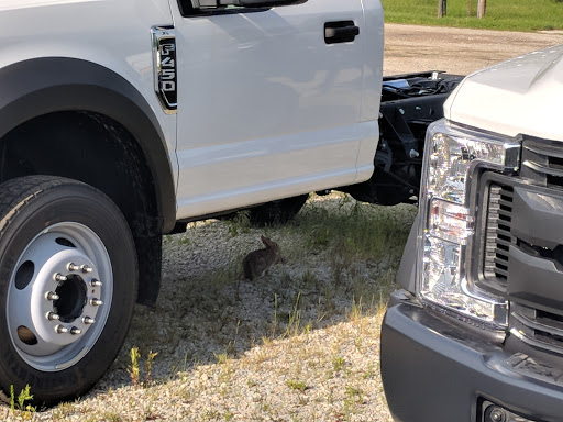 Ford Dealer «Fincannon Ford», reviews and photos, 1510 N Walnut St, Hartford City, IN 47348, USA