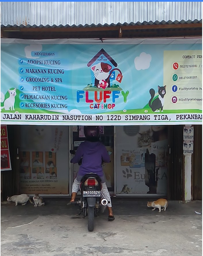 Gambar Fluffy Cat Shop Simpang Tiga